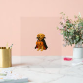 Golden Retriever Halloween Hund mit Kürbiskandy Acrylschild (Hochzeit)