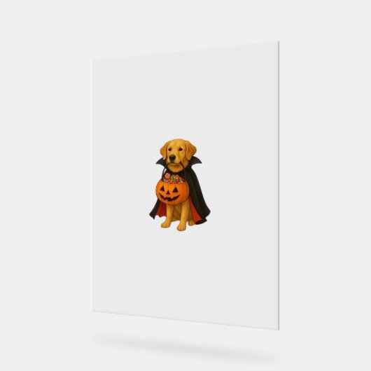Golden Retriever Halloween Hund mit Kürbiskandy Acrylschild (Winkel)