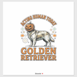 Golden Retriever Halloween-Kürbis-Hundekostüm-Shir Aufkleber