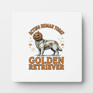 Golden Retriever Halloween-Kürbis-Hundekostüm-Shir Fotoplatte