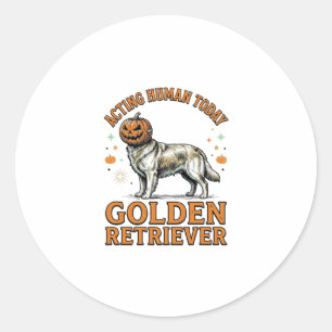 Golden Retriever Halloween-Kürbis-Hundekostüm-Shir Runder Aufkleber