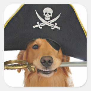 Golden Retriever Halloween Pirate Quadratischer Aufkleber