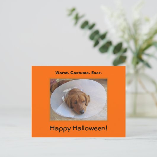 Golden Retriever Halloween Postkarte (Stehend Vorderseite)