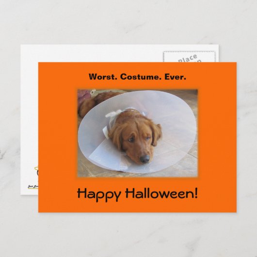 Golden Retriever Halloween Postkarte (Vorne/Hinten)
