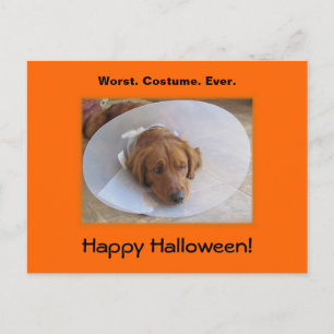 Golden Retriever Halloween Postkarte