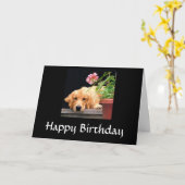 Golden Retriever Happy Birthday Card Karte (Gelbe Blume)
