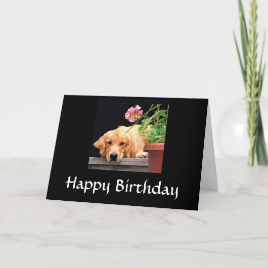 Golden Retriever Happy Birthday Card Karte (Vorderseite)