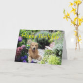 Golden Retriever Happy Birthday Garden Card Karte (Gelbe Blume)