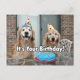 Golden Retriever Happy Birthday Torte Postkarte