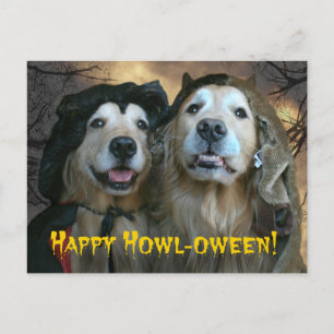 Golden Retriever Happy Howl-ween Postkarte