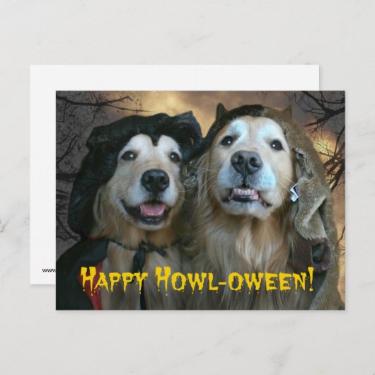 Golden Retriever Happy Howl-ween Postkarte (Vorne/Hinten)