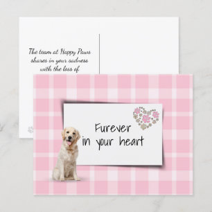 Golden Retriever Haustier Mitgefühl Verlust Postkarte