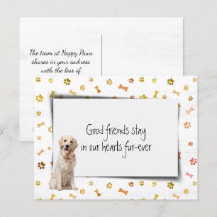 Golden Retriever Haustier Mitgefühl Verlust Postkarte