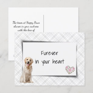 Golden Retriever Haustier Mitgefühl Verlust Postkarte