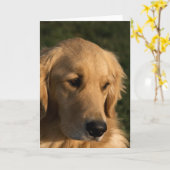 Golden Retriever Head Shooting Mitteilungskarten (Gelbe Blume)