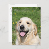 Golden Retriever Headshot 1 Postkarte (Vorne/Hinten)