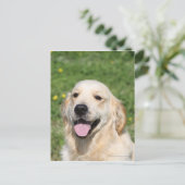 Golden Retriever Headshot 1 Postkarte (Stehend Vorderseite)