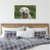 Golden Retriever Headshot 2 Leinwanddruck (Insitu (Schlafzimmer))