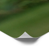 Golden Retriever Headshot 2 Poster (Ecke)