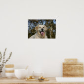 Golden Retriever Headshot 3 Poster (Küche)
