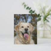 Golden Retriever Headshot 3 Postkarte (Stehend Vorderseite)