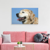Golden Retriever Headshot 4 Leinwanddruck (Insitu (Wohnzimmer))