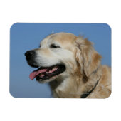 Golden Retriever Headshot 4 Magnet (Horizontal)