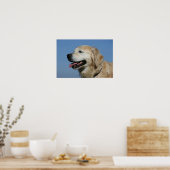 Golden Retriever Headshot 4 Poster (Küche)
