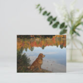 Golden Retriever Herbst am See Postkarte (Stehend Vorderseite)