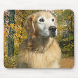Golden retriever-Herbst Mousepad