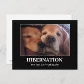 Golden Retriever Hibernation Bleibe Warm Postkarte (Vorne/Hinten)