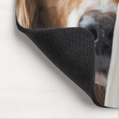 Golden Retriever Hinter einem Vorhang Mousepad (Ecke)