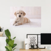 Golden Retriever hinunter Poster (Heimbüro)