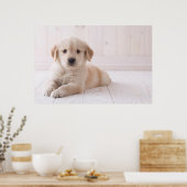 Golden Retriever hinunter Poster (Küche)