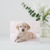Golden Retriever hinunter Postkarte (Stehend Vorderseite)