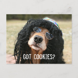 Golden Retriever Hippie "Got Cookies?" Postkarte