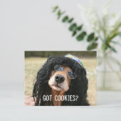 Golden Retriever Hippie "Got Cookies?" Postkarte (Stehend Vorderseite)