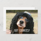 Golden Retriever Hippie "Got Cookies?" Postkarte (Vorne/Hinten)