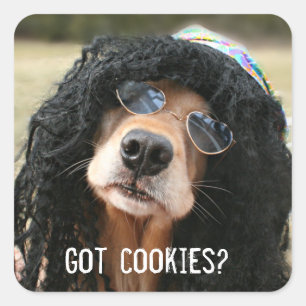 Golden Retriever Hippie Got Cookies Quadratischer Aufkleber