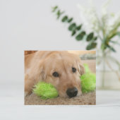 Golden Retriever hörte, dass du krank warst, werde Postkarte (Stehend Vorderseite)