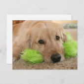 Golden Retriever hörte, dass du krank warst, werde Postkarte (Vorne/Hinten)