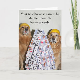 Golden Retriever House of Cards Neue Zuhause Karte