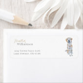 Golden Retriever Hund (Insitu)