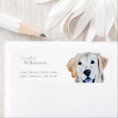 Golden Retriever Hund (Insitu)