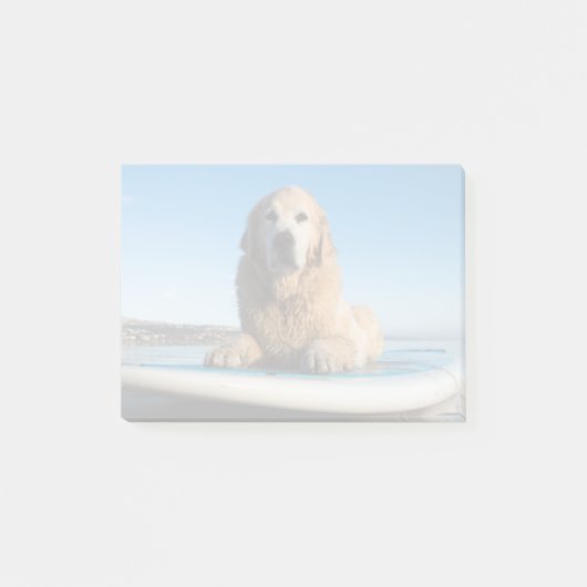 Golden retriever-Hund, der auf ein Paddel-Brett Post-it Klebezettel (Vorderseite)