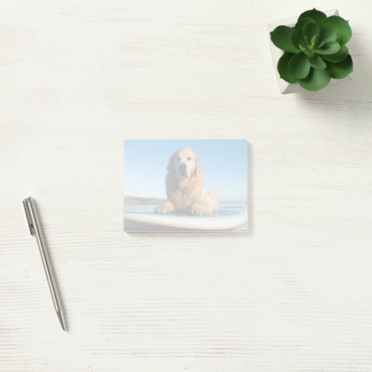 Golden retriever-Hund, der auf ein Paddel-Brett Post-it Klebezettel (Büro)