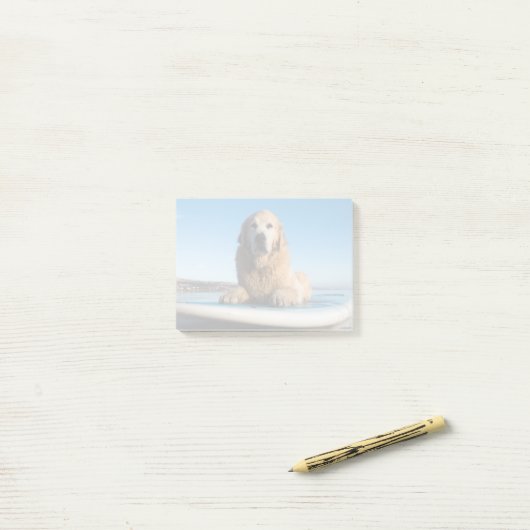 Golden retriever-Hund, der auf ein Paddel-Brett Post-it Klebezettel (Auf Schreibtisch)