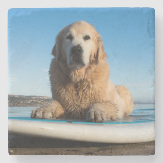 Golden retriever-Hund, der auf ein Paddel-Brett Steinuntersetzer (Vorderseite)