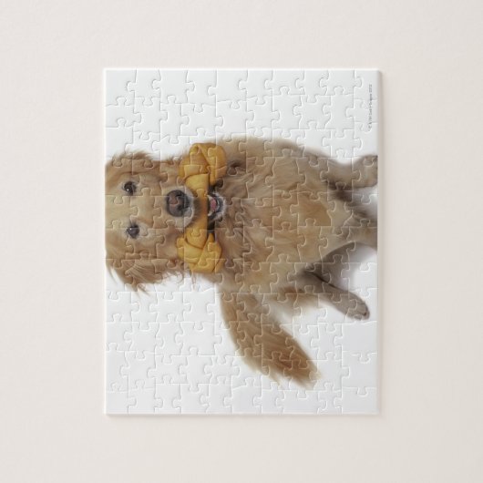 Golden Retriever Hund, der Knochen im Mund hält Puzzle (Vertikal)