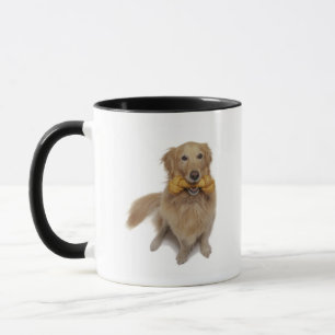 Golden retriever-Hund, der Knochen im Mund hält Tasse